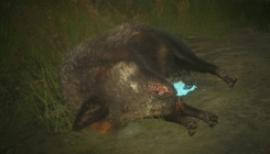 TheHunter: Call of the Wild - wild boar screenshot