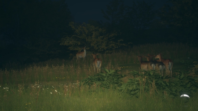 TheHunter: Call of the Wild - deers screenshot