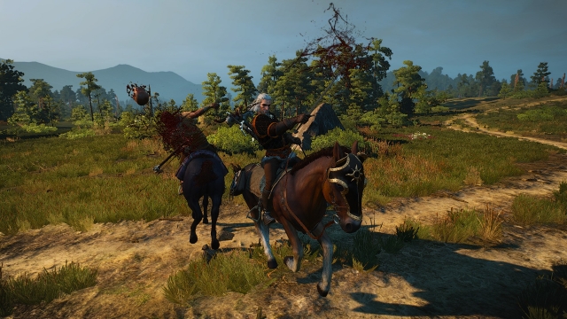 Witcher 3: Wild Hunt - screenshot 10