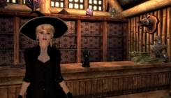 The Elder Scrolls 5: Skyrim - a girl in a dres mod