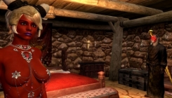 The Elder Scrolls 5: Skyrim - a girl screenshot