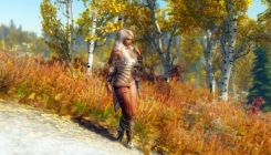 Elder Scrolls 5: Skyrim - Brigandine Armor