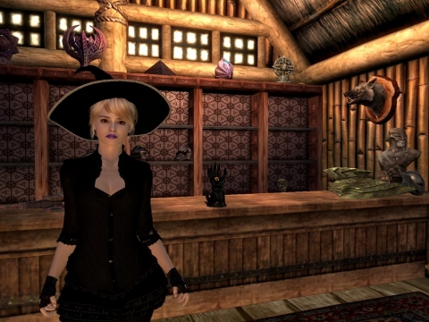 The Elder Scrolls 5: Skyrim - a girl in a dres mod