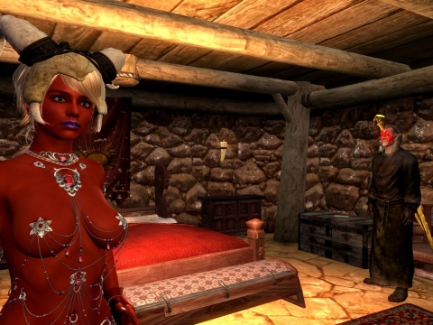 The Elder Scrolls 5: Skyrim - a girl screenshot