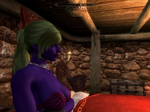 The Elder Scrolls 5: Skyrim - a girl screenshot 3