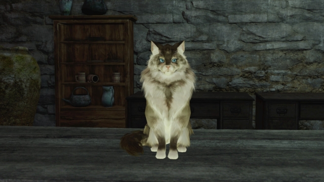 Dark Souls 2 - screenshot