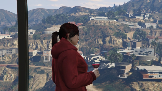 Grand Theft Auto 5 - landscape