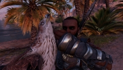 Assassin's Creed Origins: with an eagle screenshot