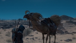 Assassin's Creed - with a camel in the desert