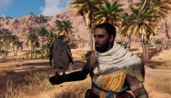 Assassin's Creed - with an eagle on his hand