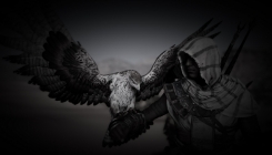 Assassin's Creed: Origins - the eagle in the dark
