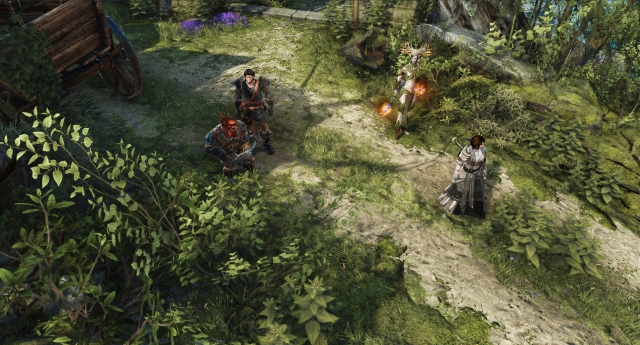 Divinity: Original Sin (team)