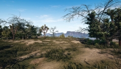 PlayerUnknown's Battlegrounds - desert screenshot2