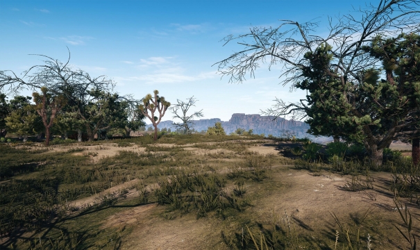 PlayerUnknown's Battlegrounds - desert screenshot2