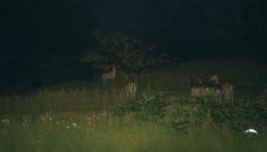 TheHunter: Call of the Wild - deers screenshot