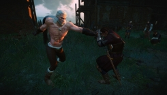 Witcher 3: Wild Hunt - screenshot 8