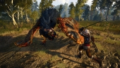 Witcher 3: Wild Hunt - screenshot 9