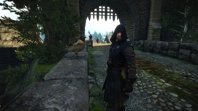 The Witcher 3: Wild Hunt - screenshot 11