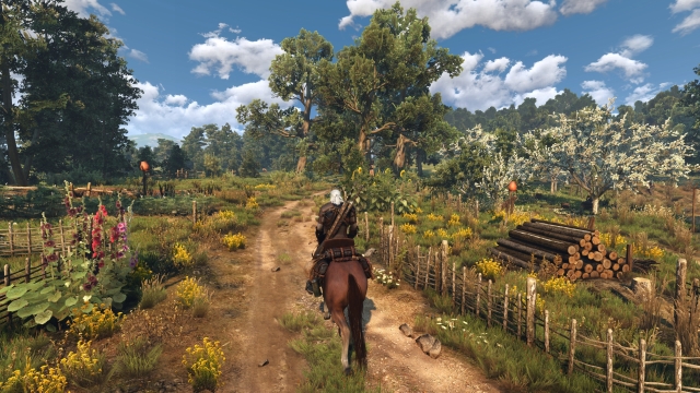 The Witcher 3: Wild Hunt - Ansel screenshot 2