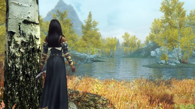 Elder Scrolls 5: Skyrim - Landscape screenshot