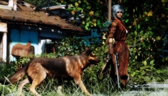 Fallout 4 - girl with arms and a dog