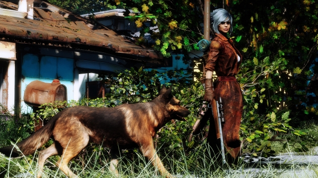 Fallout 4 - girl with arms and a dog