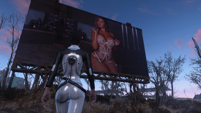 Fallout 4 - screenshot 7