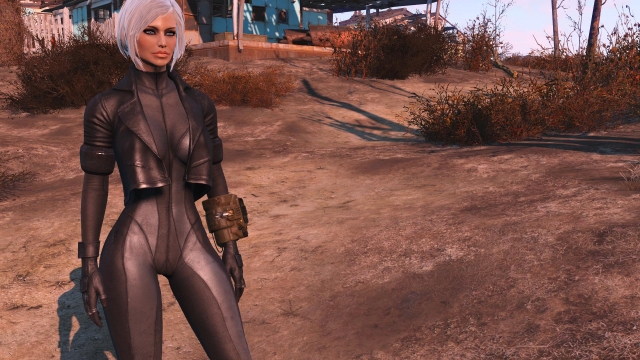 Fallout 4 - screenshot