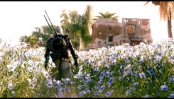 Assassin's Creed: Origins - Assassin & flower field