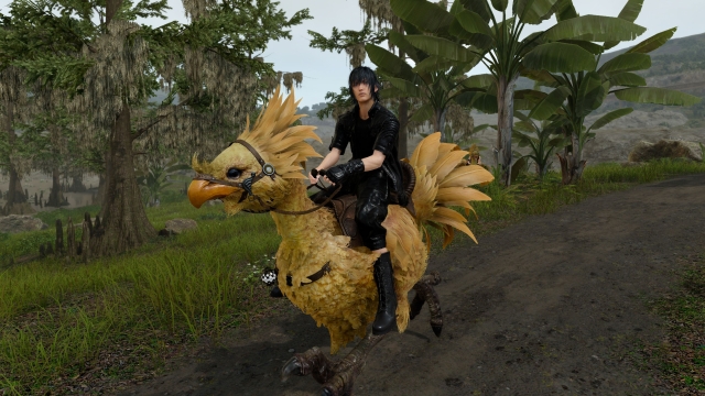 Final Fantasy 15 - Chocobo screenshot (4K)